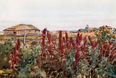 Un jardin potager à Veregin - Harold Copping